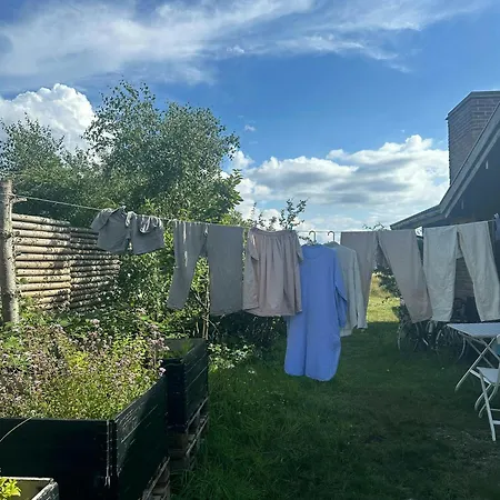 Log House In The First Row At The Sejero Bay *